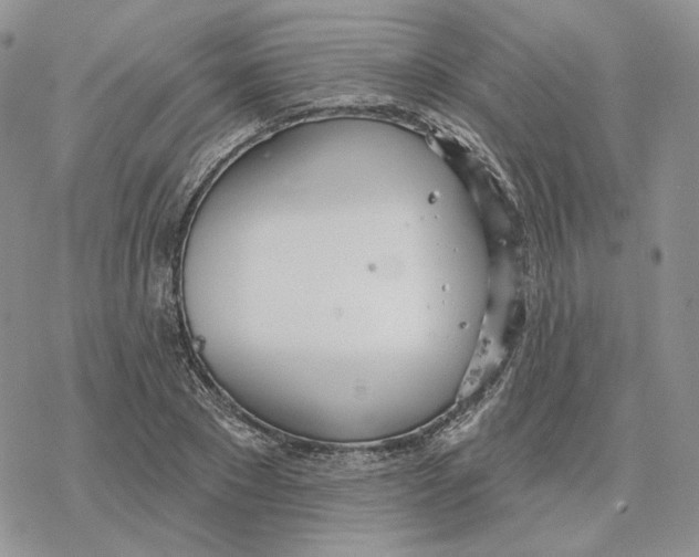 X0000078270881200611251351