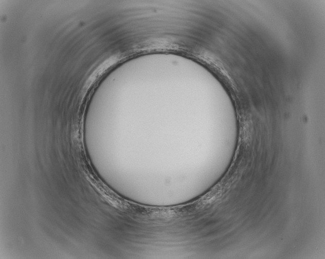 X0000078270882200611251351