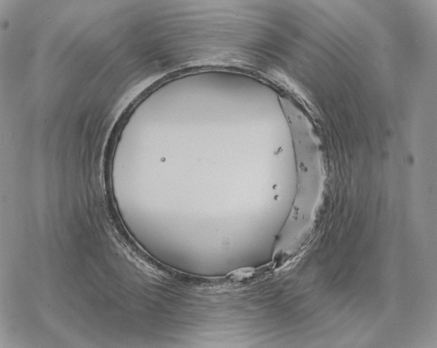 X0000078270884200611251350