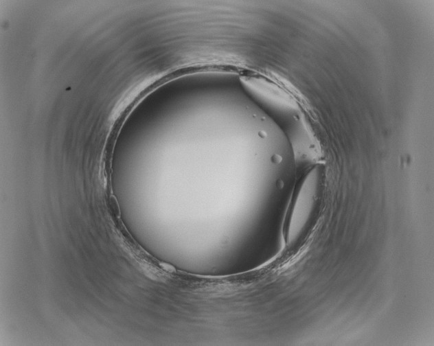 X0000078270885200611251350