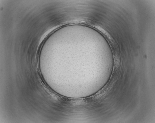 X0000078270886200611251350