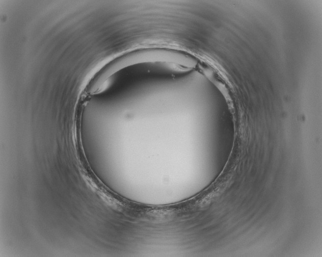 X0000078270888200611251350