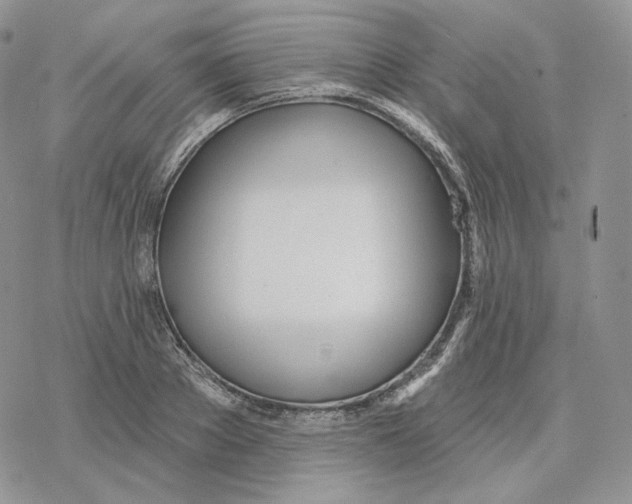 X0000078270889200611251350