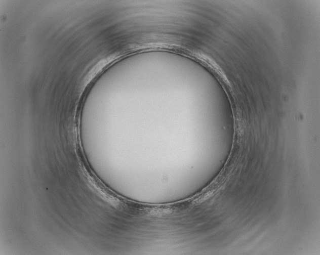 X0000078270890200611251350