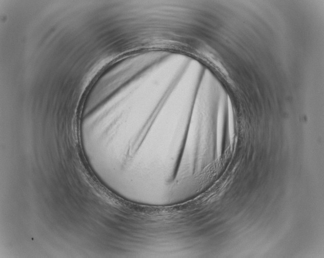 X0000078270891200611251350