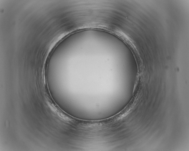 X0000078270892200611251350