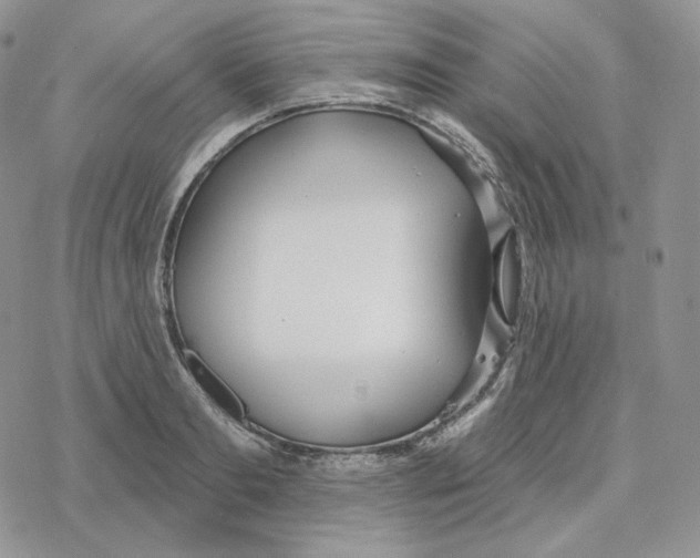 X0000078270893200611251350