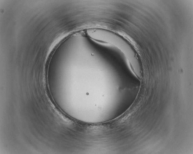 X0000078270894200611251350