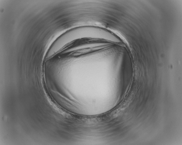 X0000078270895200611251350