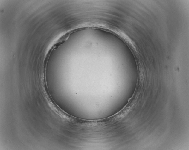 X0000078270896200611251350