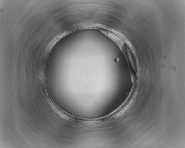 X0000078270897200611251350