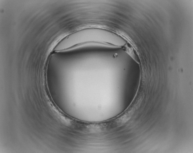 X0000078270898200611251350