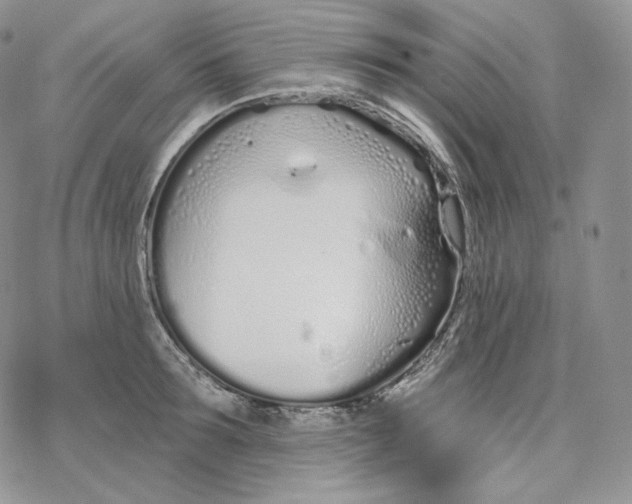 X0000078270899200611251350