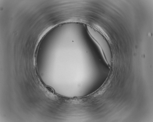 X0000078270900200611251350