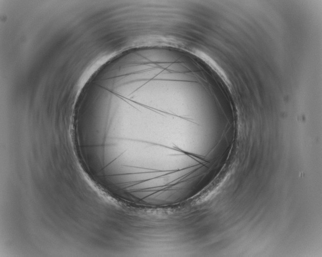 X0000078270901200611251350