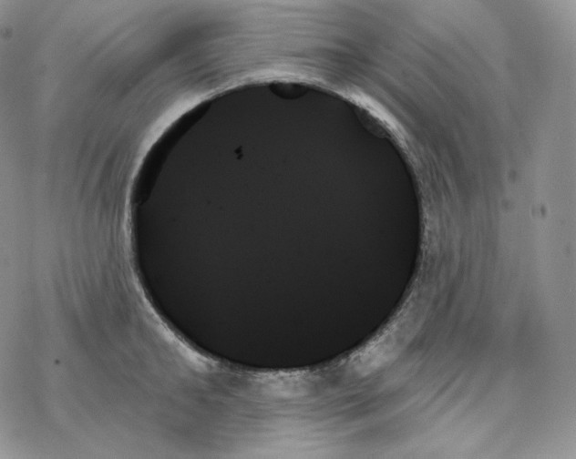 X0000078270902200611251350