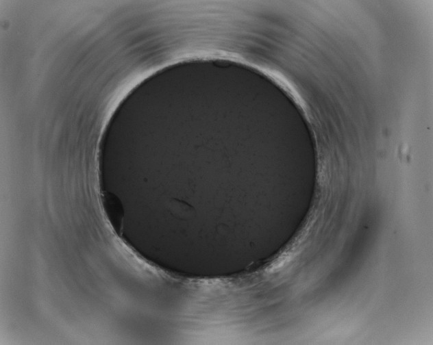 X0000078270903200611251350