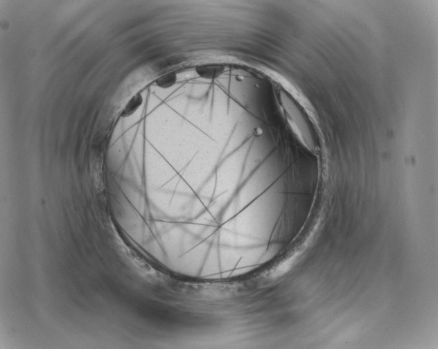 X0000078270905200611251350