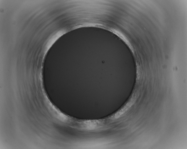 X0000078270906200611251350