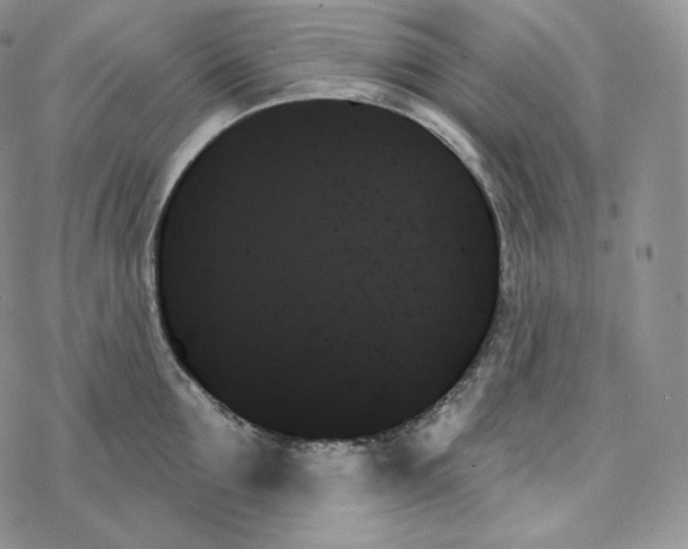 X0000078270907200611251350