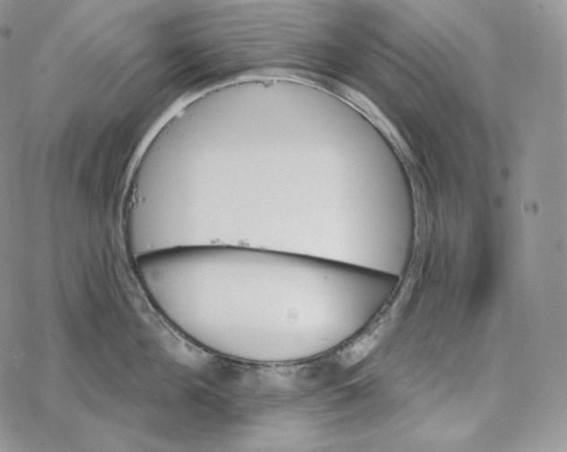 X0000078270908200611251350