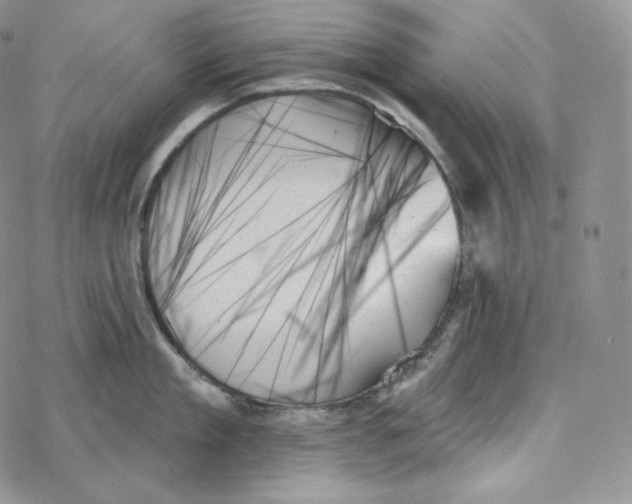 X0000078270909200611251350