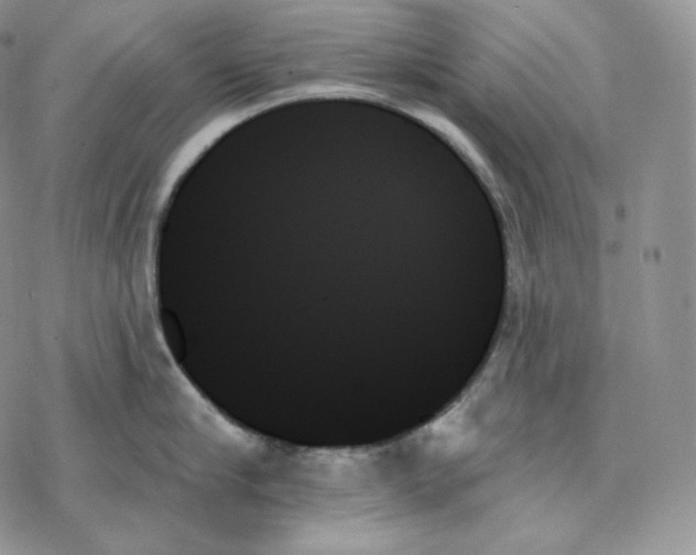 X0000078270910200611251350