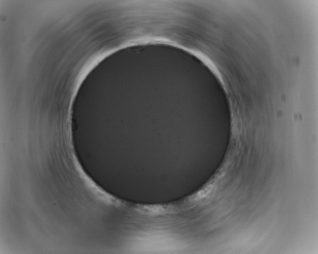 X0000078270911200611251350