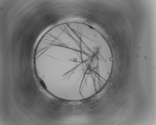 X0000078270912200611251350