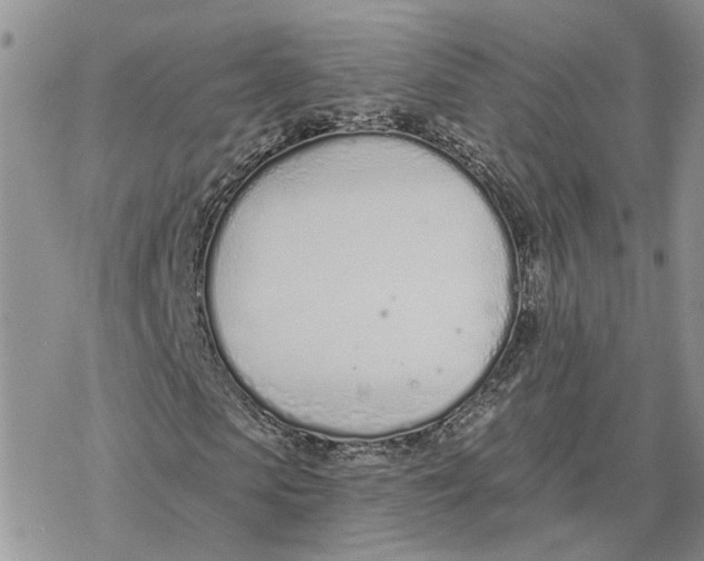 X0000078270913200611251349