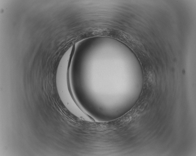 X0000078270914200611251349