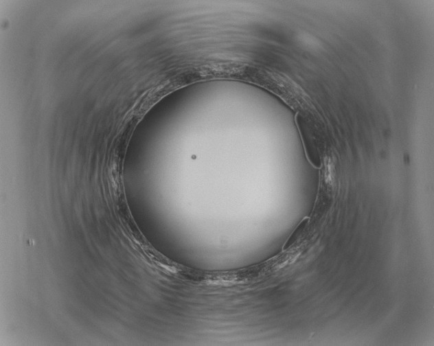 X0000078270915200611251349