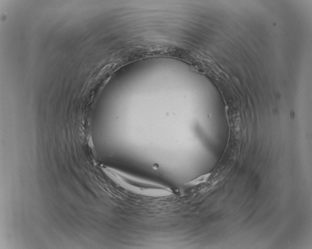 X0000078270916200611251349