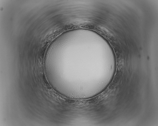 X0000078270917200611251349