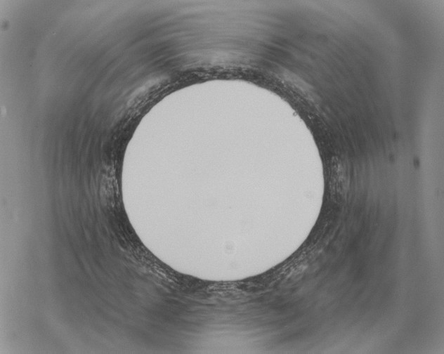 X0000078270918200611251349