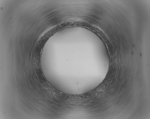 X0000078270919200611251349