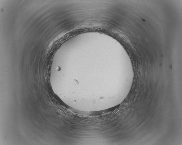 X0000078270920200611251349