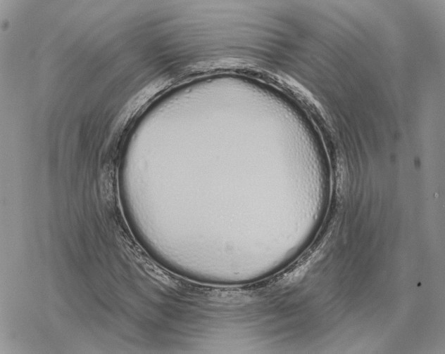 X0000078270921200611251349