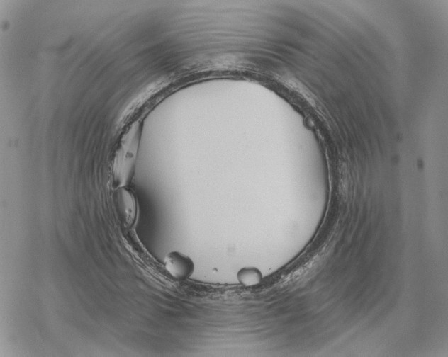 X0000078270922200611251349