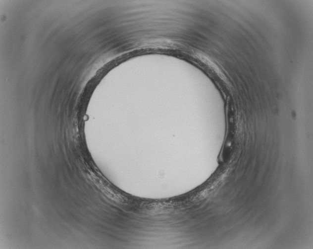 X0000078270923200611251349