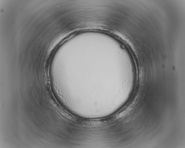 X0000078270925200611251349