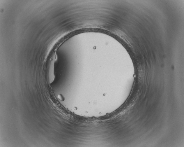 X0000078270926200611251349