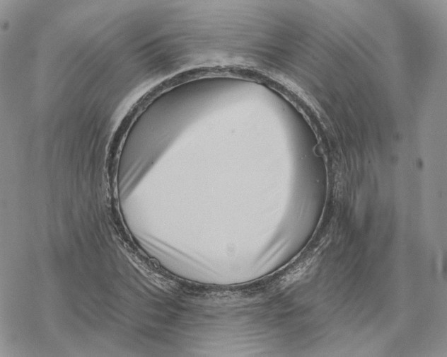 X0000078270927200611251349