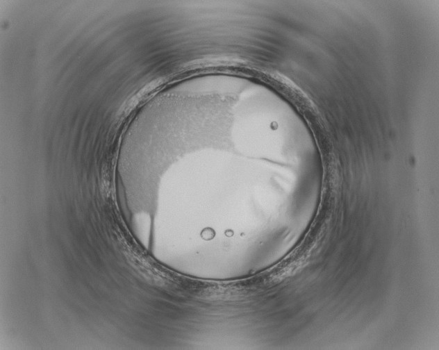 X0000078270929200611251350