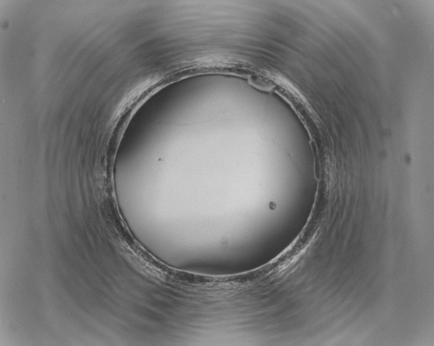 X0000078270930200611251350