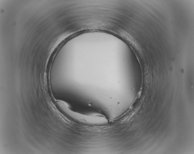 X0000078270932200611251350