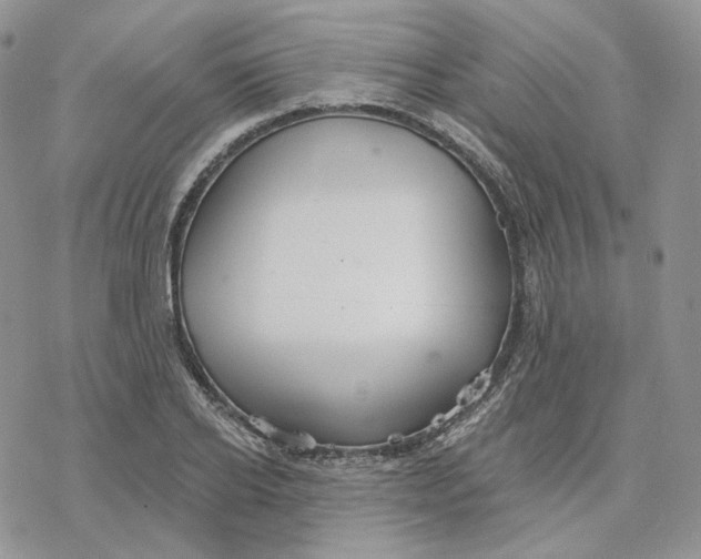 X0000078270934200611251350