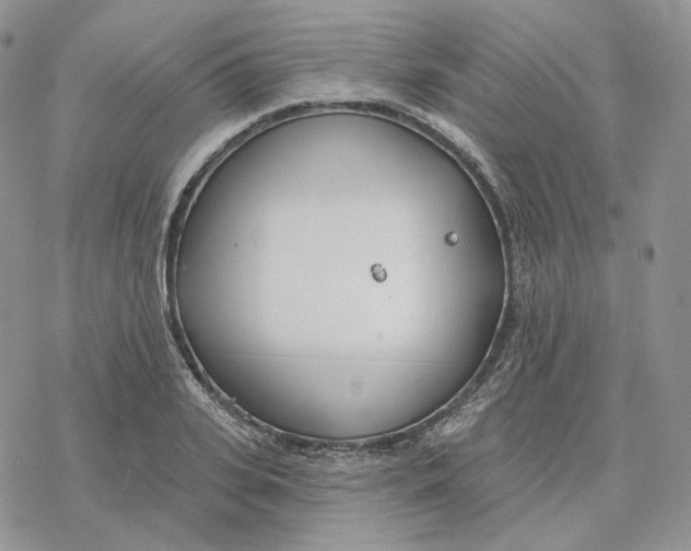 X0000078270935200611251350