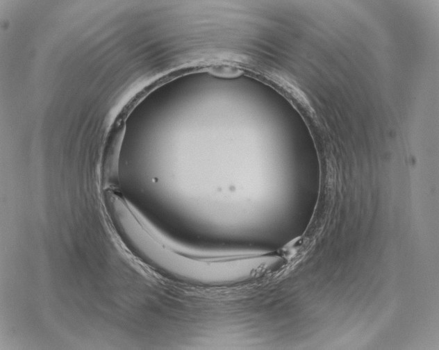 X0000078270936200611251350