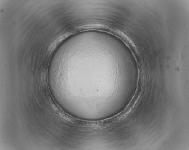 X0000078270937200611251350